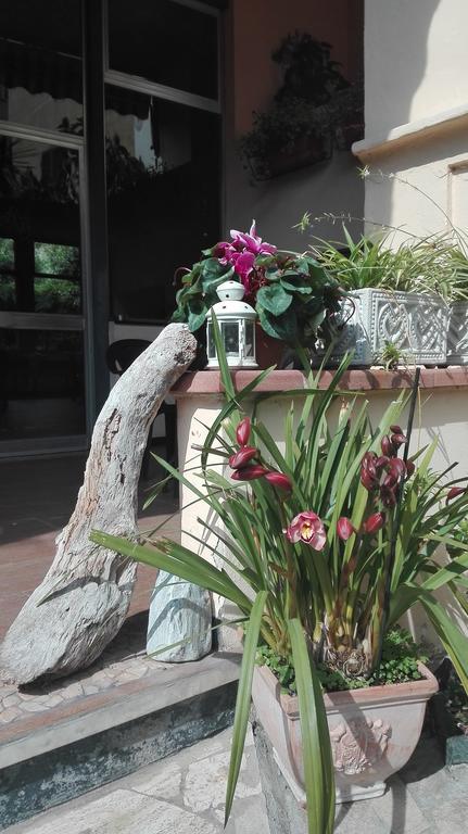 Hotel Rio Varazze Bagian luar foto
